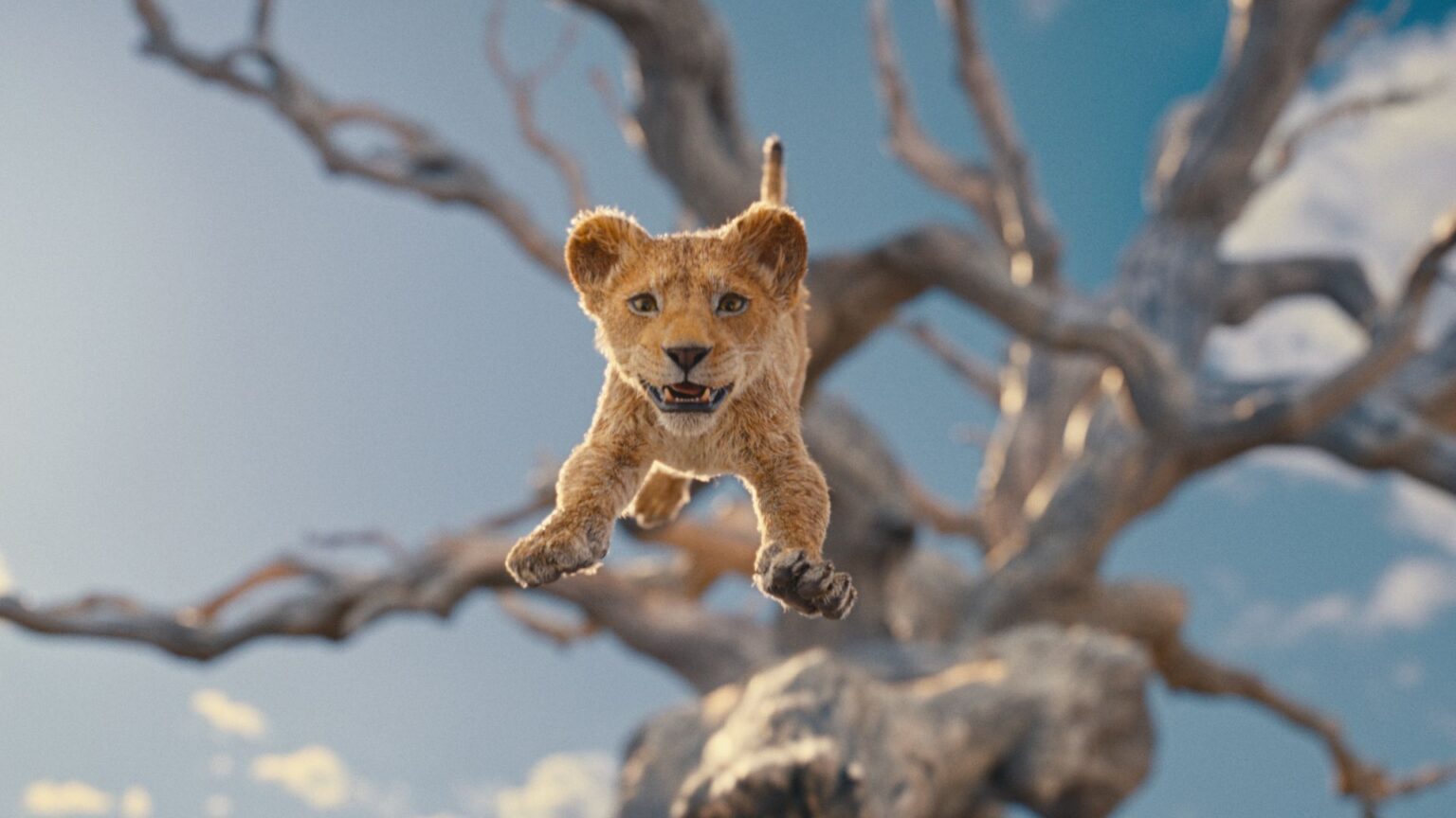 'Mufasa: The Lion King' - Watch the Trailer for Disney’s New Movie