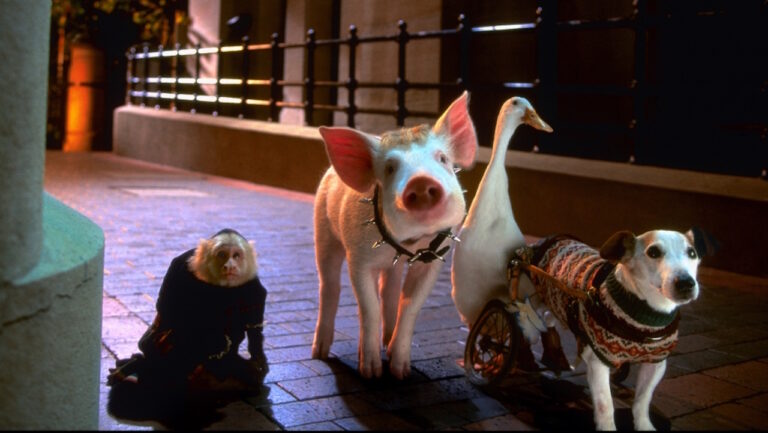 Babe 1995 The Timeless Pig Movie That Won Our Hearts PopCulture Life babe-1995-the-timeless-pig-movie-that-won-our-hearts-popculture-life