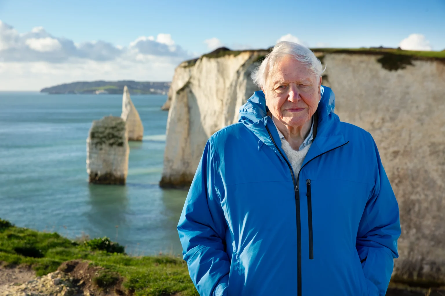 David Attenborough’s “Ocean” Is Essential Viewing – Here’s What to Watch Next on Netflix